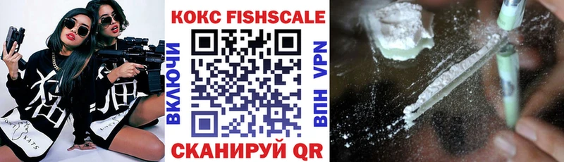 Купить  Талица  Кокаин Fish Scale 