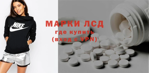 apvp Тайга