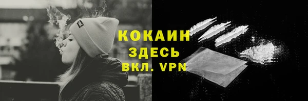 apvp Тайга