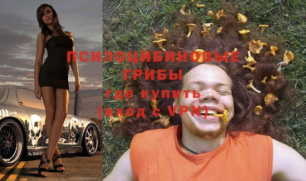 apvp Тайга