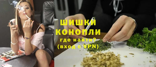 apvp Тайга