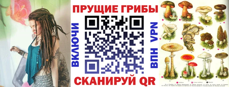Галлюциногенные грибы Psilocybine cubensis  Купить где  Талица 